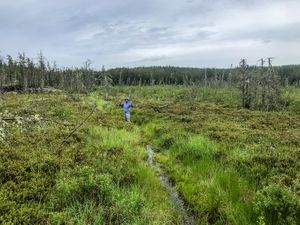 A long, boggy portage between Crystal and Indian House.