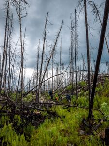 Difficult portage through a burn.