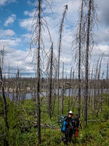 Steep portage into Welkin Lake.