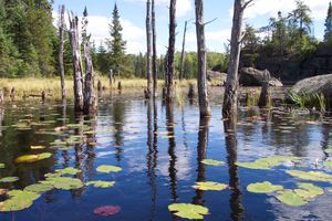 Gotter lake