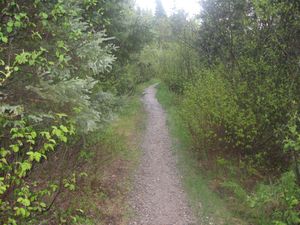 Trail from parking lot to Beaverhouse put-in