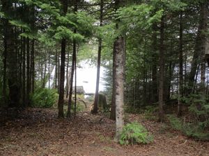 IMG_0619.JPG