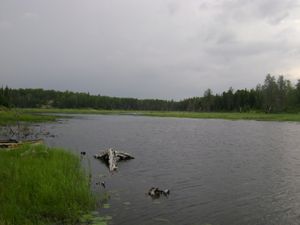 Thunderstorm