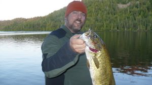 Bass