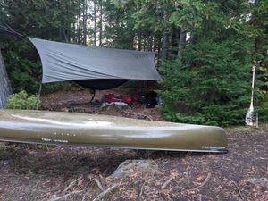 Little Trout Lake NE Campsite