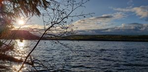 Rose Lake3.jpg