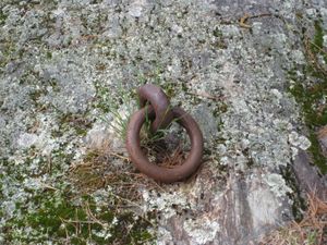 Leftover from the logging times