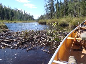 Cherokee Beaver Dam 1