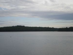 P7220404.jpg