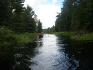 P7230445.jpg