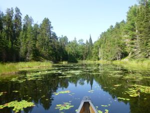 Beaver Stream between Side and Sarah