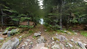 Campsite 972 (360 Degree Photo)