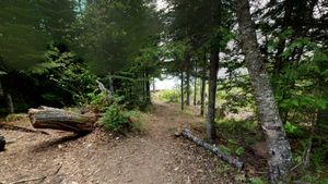 Campsite 969 (360 Degree Photo)