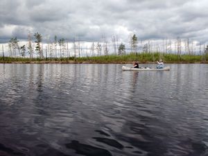 Lake 3 Burndown