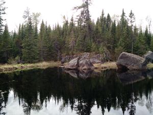 Bushwhacker Pond North