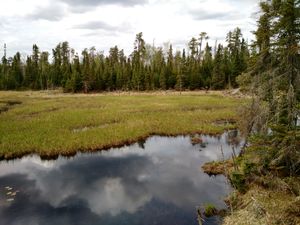 Bushwhacker Pond East