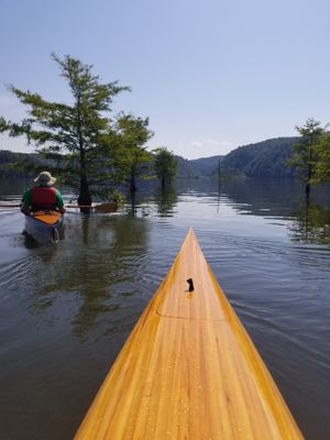 Cypress Kayak