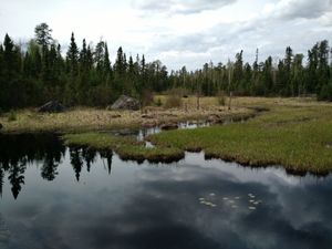 Bushwhacker Pond NE