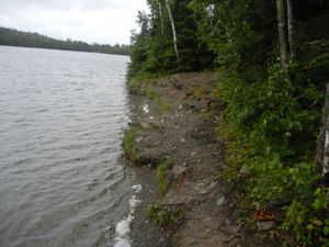 Campsite 1239