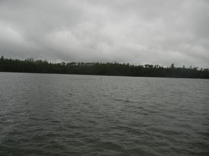 Campsite 1239