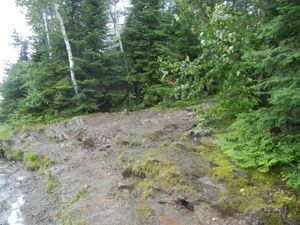 Campsite 1239