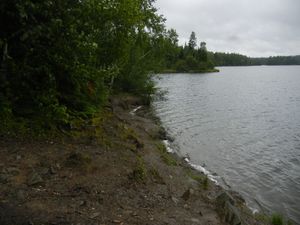 Campsite 1239