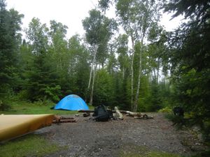 Campsite 1239