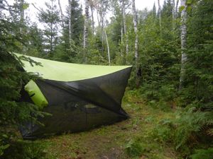 Campsite 1239