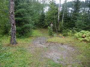 Campsite 1239