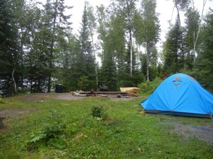 Campsite 1239