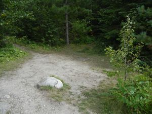 Campsite 1278