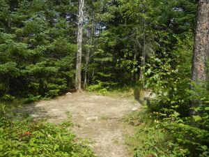 Campsite 1278