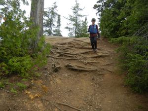 Campsite 551