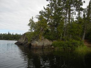 Campsite 551