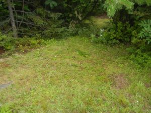 Campsite 552