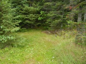 Campsite 552
