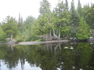 Campsite 553