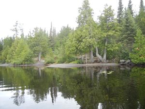 Campsite 553