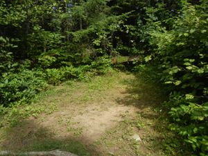 Campsite 560