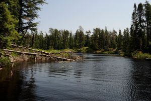 Phoebe River