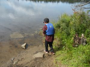 Catching a Frog