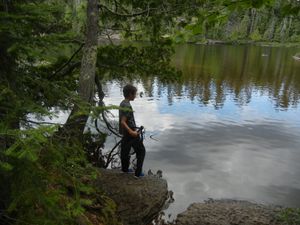 Hunting with the net