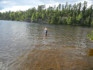Taking a swim