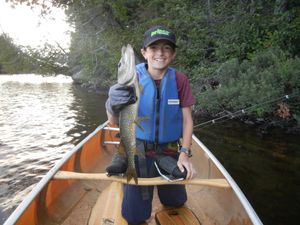 Another northern