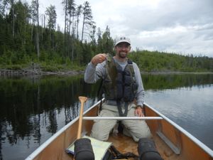 There are not supposed to be bass here