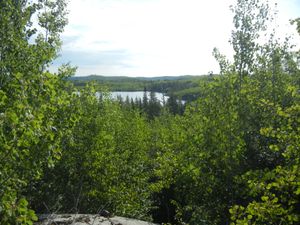 View from Lonely Tree Cliff