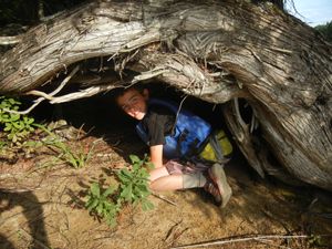 Little Cave