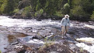 Rapids