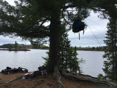 Rush Lake Campsite.JPG