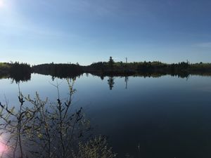 Rush Lake Campsite.JPG